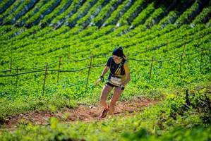 BIB: 3358
                            <button type="button" onclick="openModal(19162862)" class="btn btn-primary btn-sm float-right btn-popup" data-toggle="modal" data-target=".modal-high-quality">
                        <i class="fas fa-shopping-cart"></i> Add to Cart
                    </button>
                                            <button type="button" onclick="isThisMe(19162862, true)" class="btn btn-success btn-sm float-right btn-popup btn-isme hidden" data-toggle="tooltip" data-placement="bottom" title="นี่คือรูปของคุณใช่ไหม คลิกที่นี่เพื่อเอาเข้าอัลบั้ม">
                        <i class="fas fa-plus"></i> Add to album
                    </button>
                    <button type="button" onclick="isThisMe(19162862, false)" class="btn btn-warning btn-sm float-right btn-popup btn-isnotme hidden">
                        <i class="fas fa-ban"></i> Remove from album
                    </button>